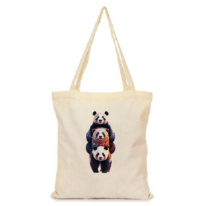 תיק Pandas